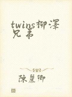 twins柳泽兄弟封面