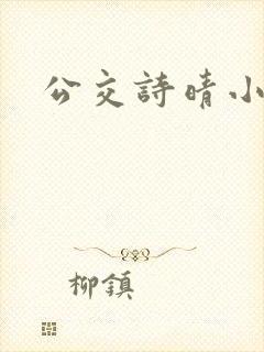 公交诗晴小说