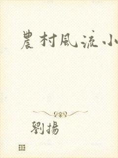 农村风流小说