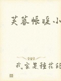 芙蓉帐暖小说封面