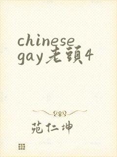 chinesegay老头4封面