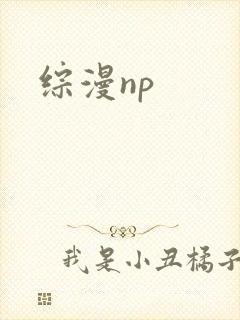 综漫np