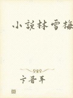 小说林雪梅