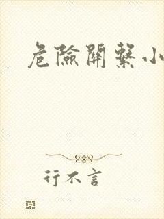 危险关系小说