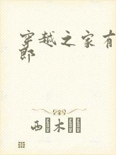 穿越之家有小夫郎