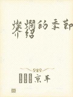 灿烂的季节剧情介绍