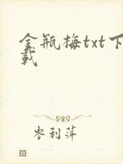 金瓶梅txt下载