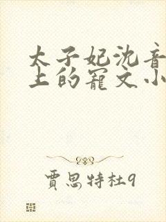 太子妃沈音和皇上的宠文小说