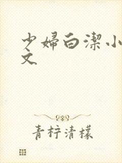 少妇白洁小说全文封面