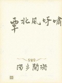 西北风呼啸的中午