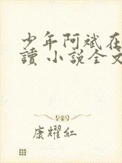少年阿斌在线阅读 小说全文免费封面