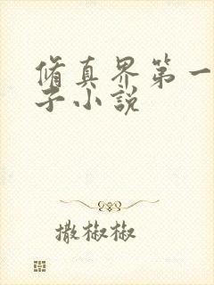 修真界第一病秧子小说