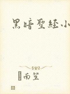 黑暗圣经小说
