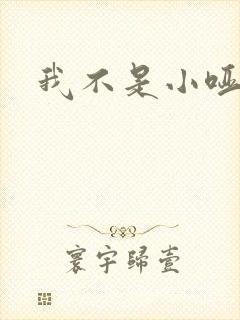 我不是小哑巴封面