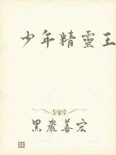少年精灵王