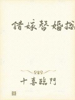 错嫁替婚总裁