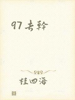 97去干封面