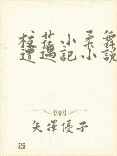 校花小柔舞蹈室遭遇记小说封面