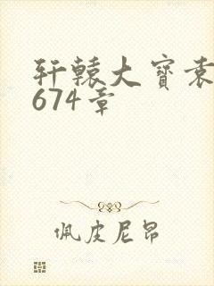 轩辕大宝袁雪妃674章