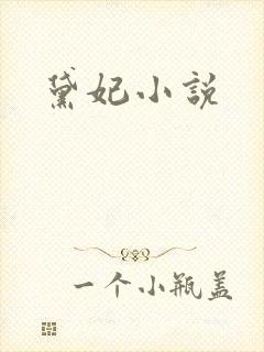 黛妃小说
