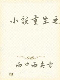 小说重生之官道
