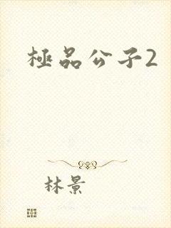 极品公子2