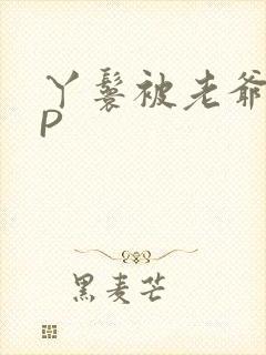 丫鬟被老爷玩NP封面