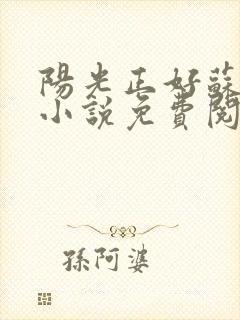阳光正好苏玥玥小说免费阅读无弹窗