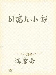bl高h小说