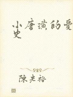 小唐璜的爱情历史封面