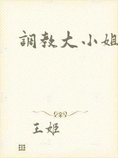 调教大小姐封面