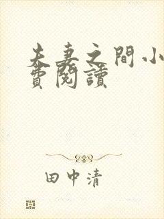 夫妻之间小说免费阅读