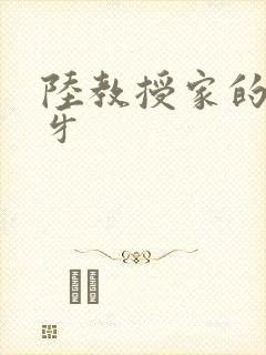 陆教授家的小月牙