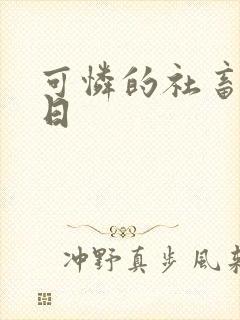 可怜的社畜东度日
