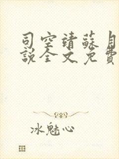 司空靖苏月汐小说全文免费阅读封面