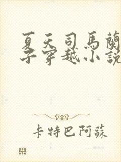 夏天司马兰九皇子穿越小说笔趣阁