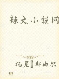 辣文小说网