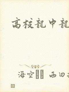 高校龙中龙