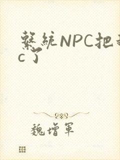 系统NPC把我c了