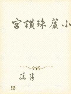 宫锁珠帘小说