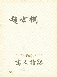 赵世桐封面