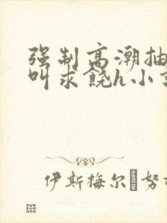 强制高潮抽搐哭叫求饶h小说