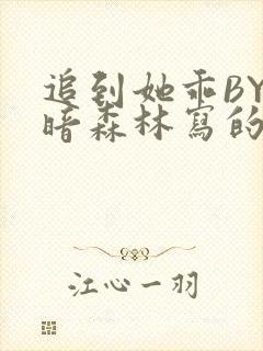 追到她乖BY黑暗森林写的小说