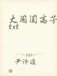 大团圆高芳小说txt
