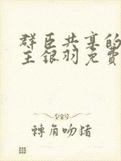 群臣共享的小公主银羽免费阅读
