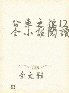公车之狼12集全小说阅读