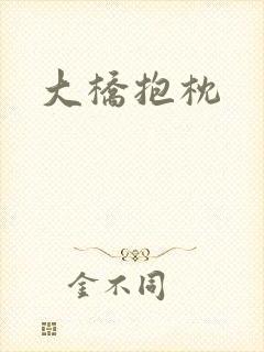 大桥抱枕