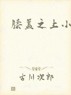 膝盖之上小说
