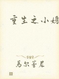 重生之小媳妇封面