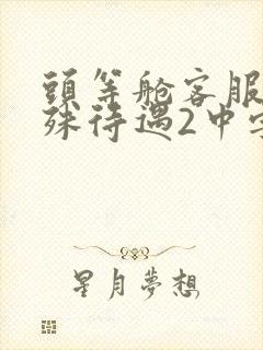 头等舱客服的特殊待遇2中字